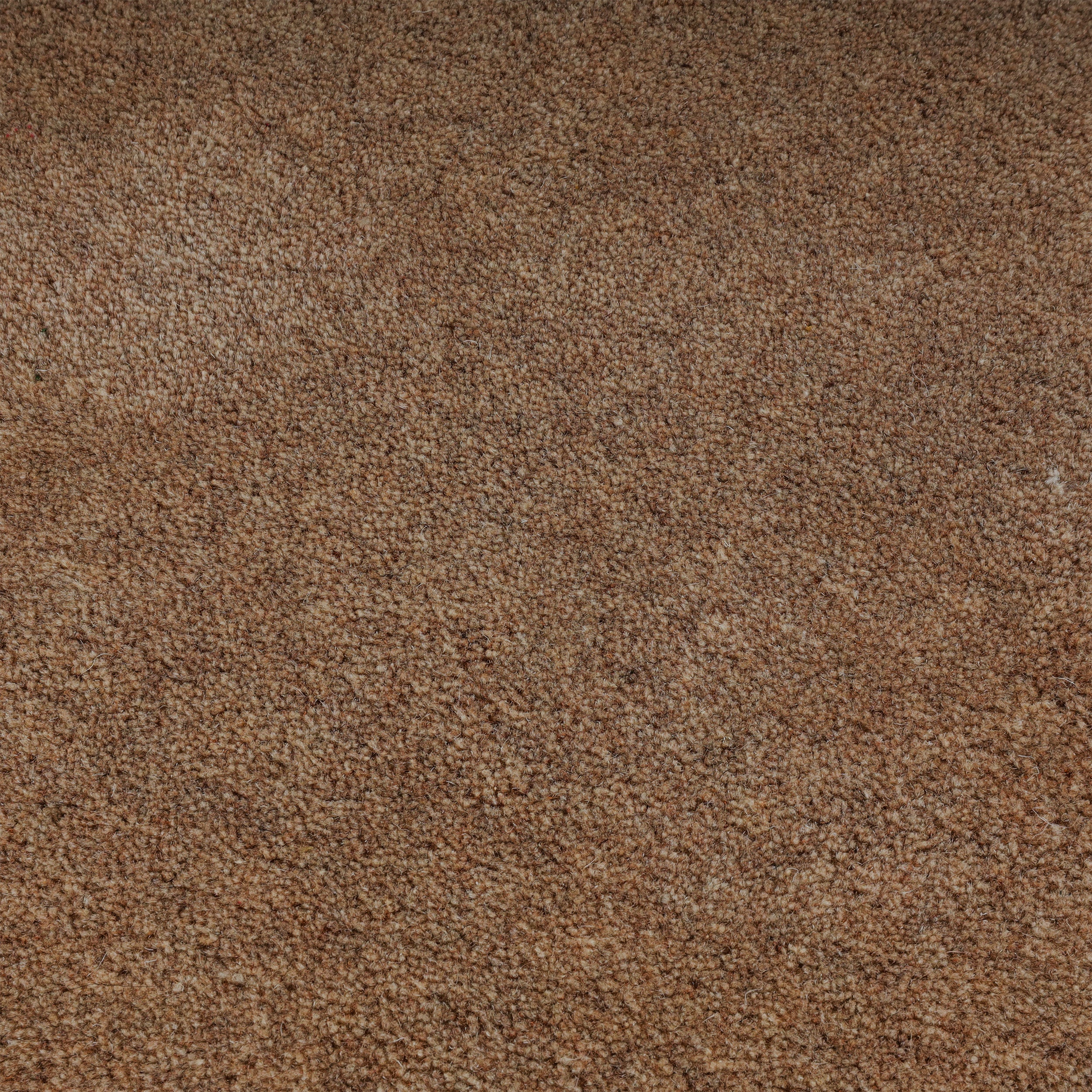 Wool rug - Isara Border Brown