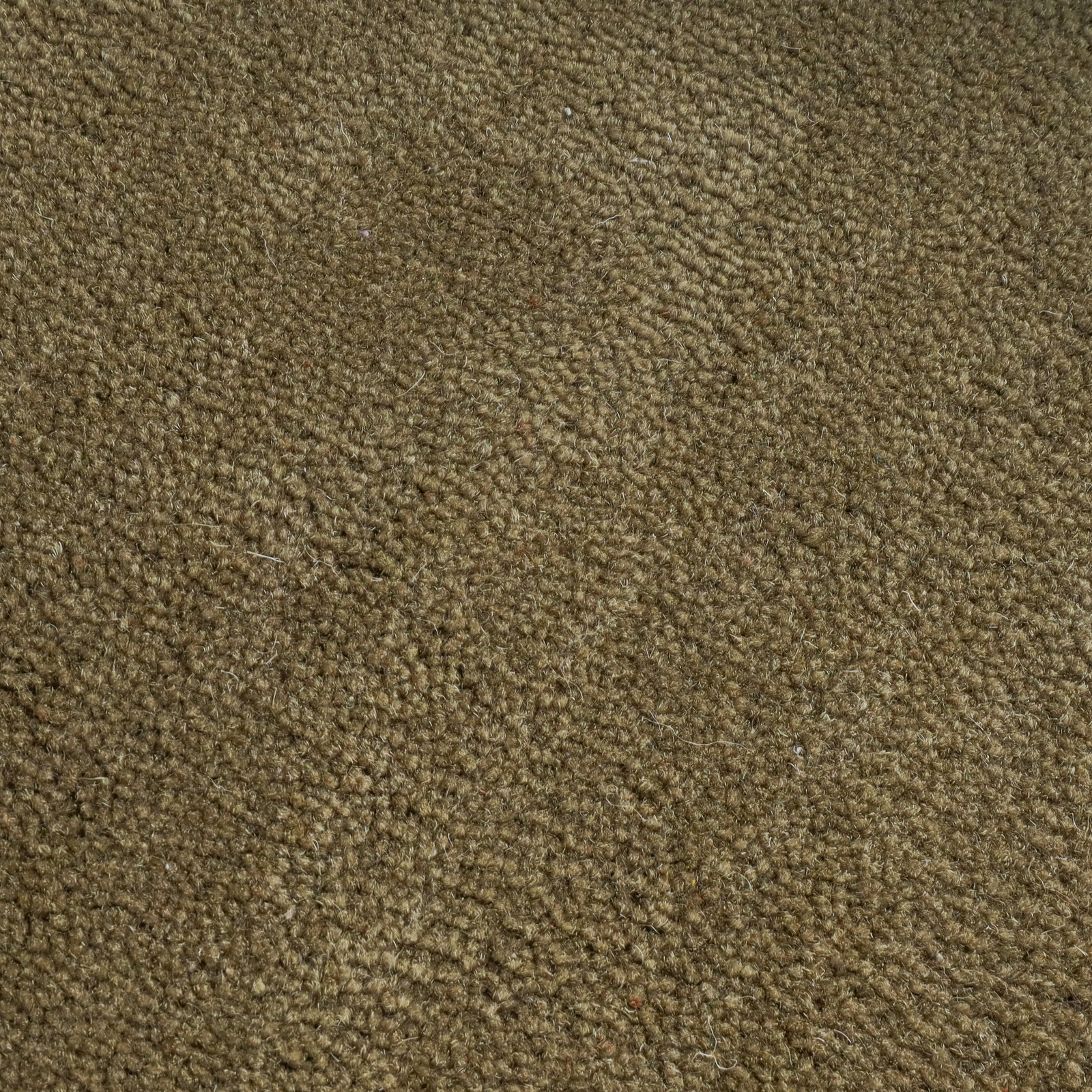 Wool rug - Isara Border Olive Green
